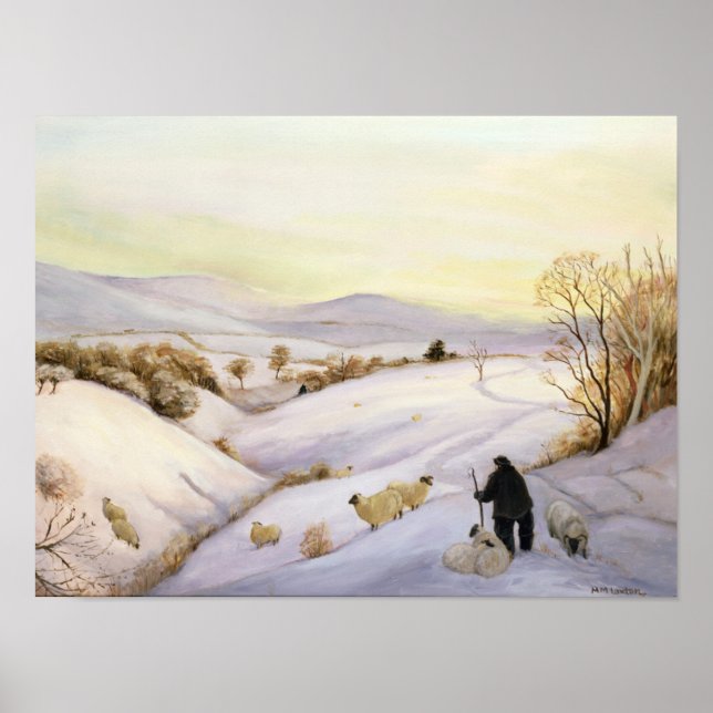 Schafe auf dem Rücken Poster (Vorne)
