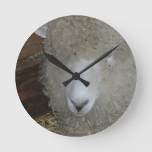 Schafe auf der Landkreis Runde Wanduhr