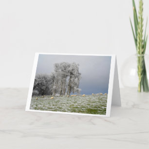 Schafe auf einem frostigen Hügel Feiertagskarte