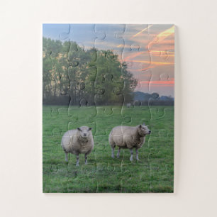 Schafe auf Feld mit Sonnenuntergang Puzzle