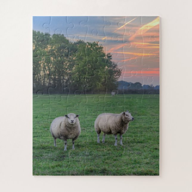 Schafe auf Feld mit Sonnenuntergang Puzzle (Vertikal)