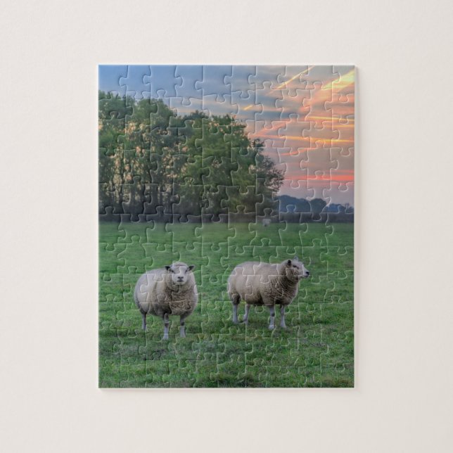 Schafe auf Feld mit Sonnenuntergang Puzzle (Vertikal)