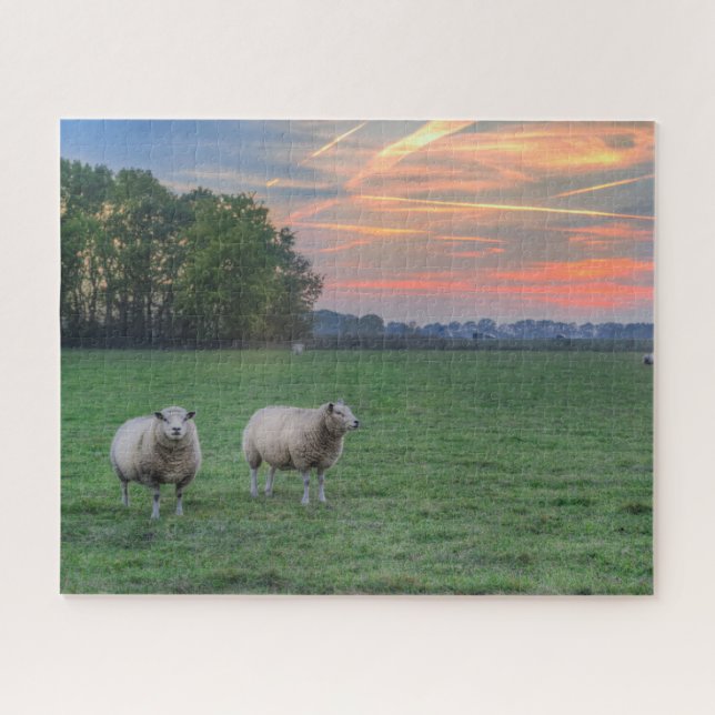 Schafe auf Feld mit Sonnenuntergang Puzzle (Horizontal)