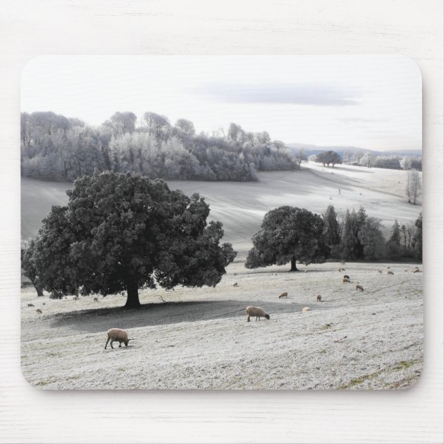 Schafe auf frostigem Feld Mousepad (Vorne)