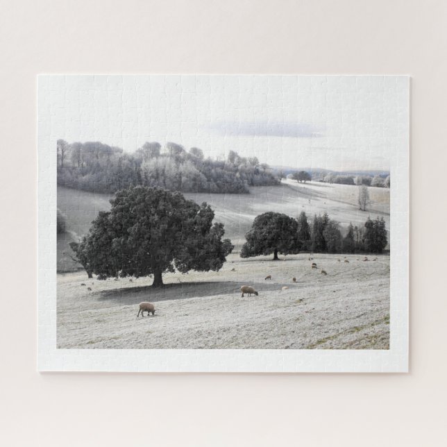 Schafe auf frostigem Feld Puzzle (Horizontal)