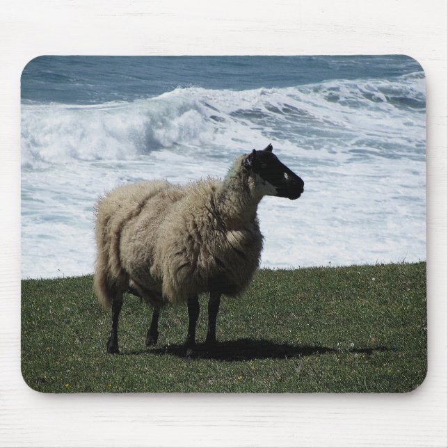 Schafe auf wilder SüdDevon-Küstenlinie Mousepad (Vorne)