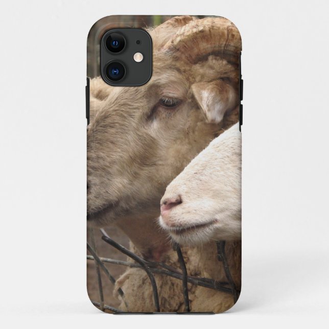 Schafe Case-Mate iPhone Hülle (Rückseite)