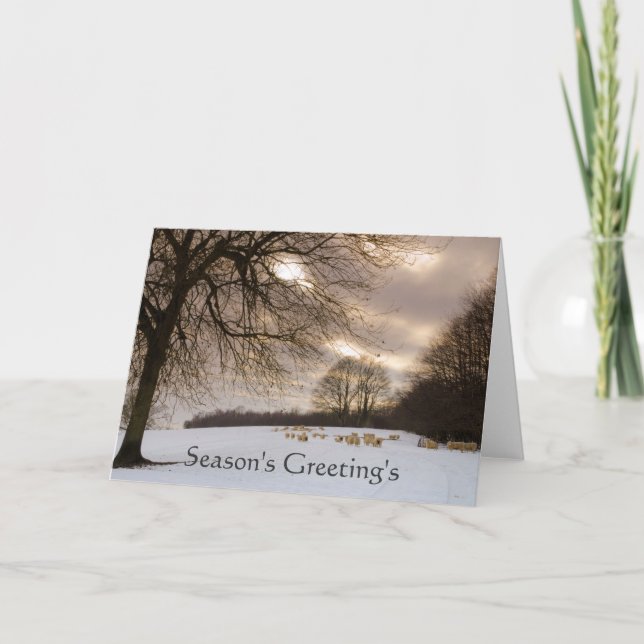 Schafe Feiertagskarte (Vorderseite)