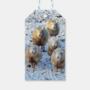 Schafe Geschenkanhänger