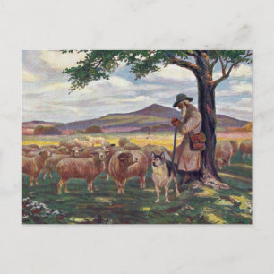 Schafe hüten postkarte
