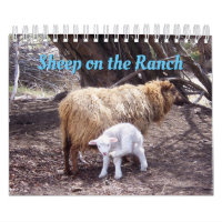 Schafe im Ranch-Kalender