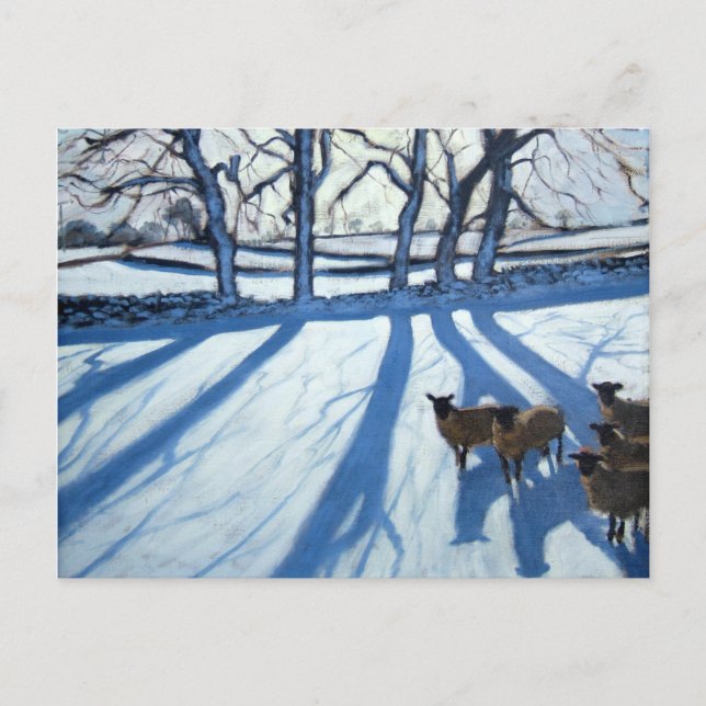 Schafe im Schnee Derbyshire Postkarte (Vorderseite)