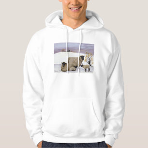 Schafe im Winter Hoodie