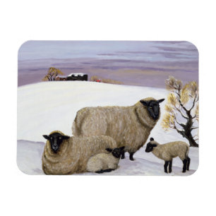 Schafe im Winter Magnet