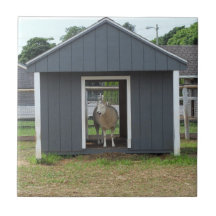 Schafe in BarnHouse Tile