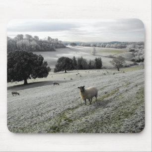 Schafe in einem frostigen Tal Mousepad