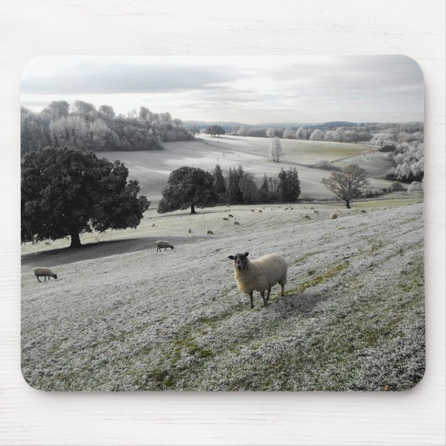 Schafe in einem frostigen Tal Mousepad (Vorne)