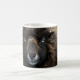 Schafe Kaffeetasse