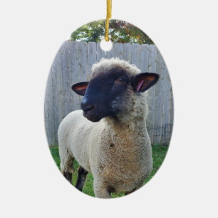Schafe Keramik Ornament