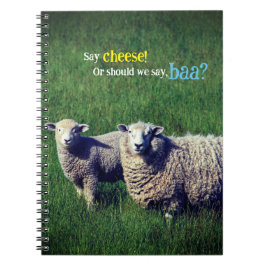 Schafe mit Lamm auf Graswiese Notizblock