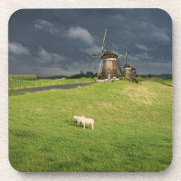 Schafe mit Windmühlen unter dunklen Wolken