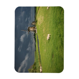 Schafe mit Windmühlen unter dunklen Wolken Magnet