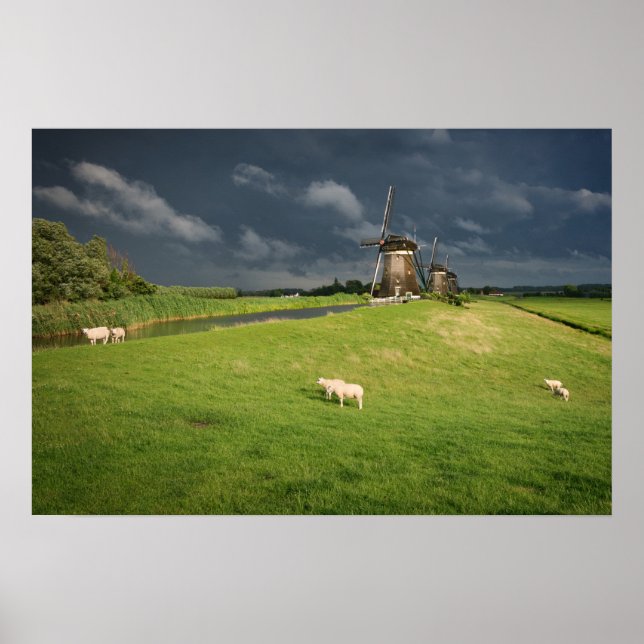 Schafe mit Windmühlen unter dunklen Wolken Poster (Vorne)