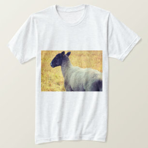 Schafe T-Shirt