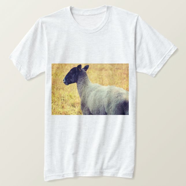 Schafe T-Shirt (Design vorne)