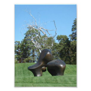 Schafe und Bäume Fotodruck