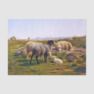 Schafe und ein Lamm in der Natur (von Rosa Bonheur Seidenpapier
