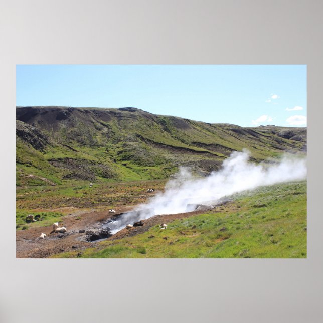 Schafe und heiße Quellen Poster (Vorne)