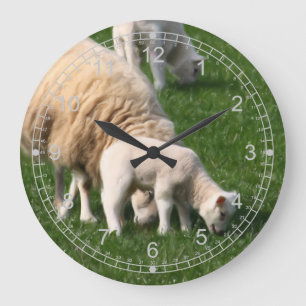 Schafe und Lämmer Große Wanduhr