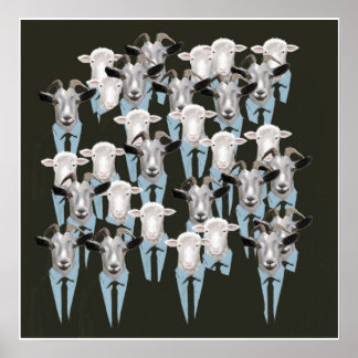 Schafe und Ziegen Poster