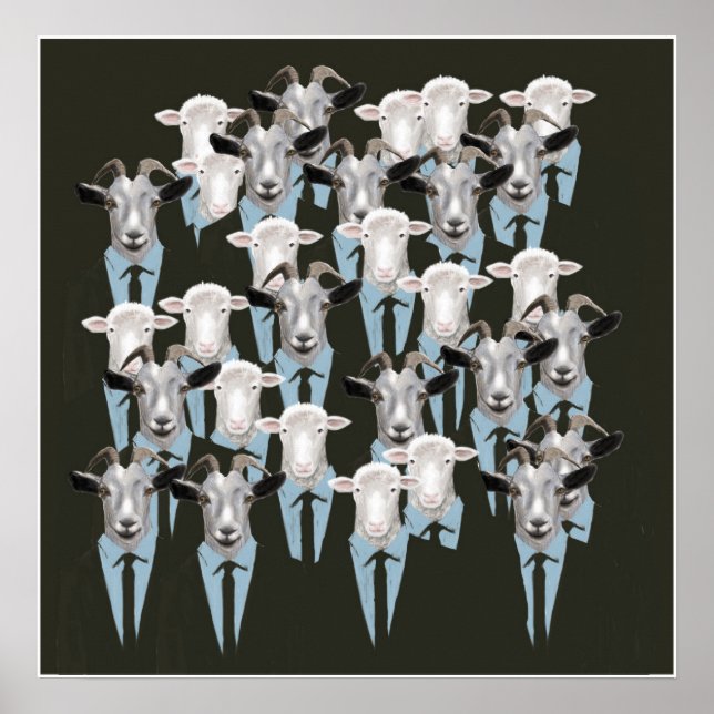 Schafe und Ziegen Poster (Vorne)