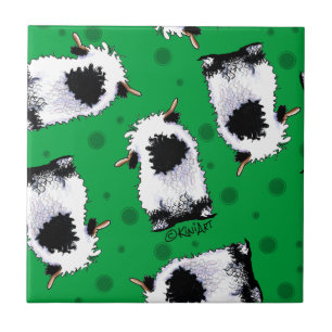 Schafe Wallis Blacknose Fliese