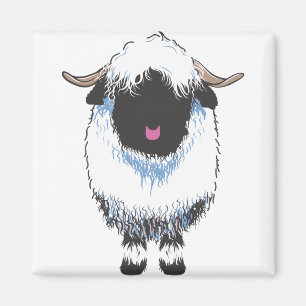 SCHAFE WALLIS BLACKNOSE MAGNET