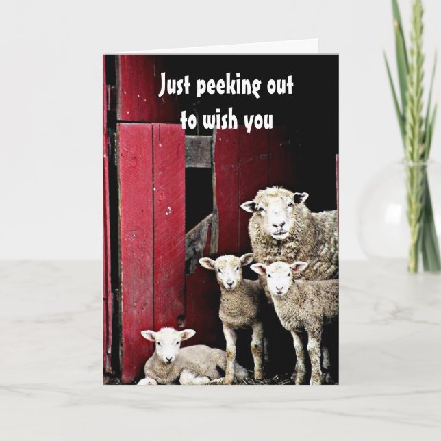 "SCHAFENGRUPPE" WÜNSCHT SIE *NUR DIE KRISTMAS* KARTE (Vorderseite)