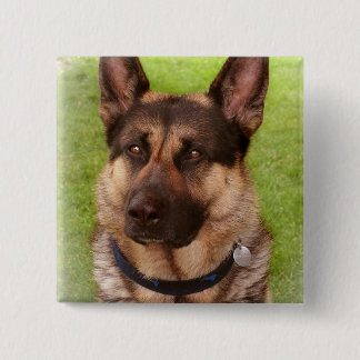 Schäfer-Hundequadrat-Button Button