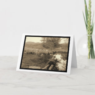 Schäfer und Menge South Dakota 1891 Karte