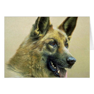 Schäferhund