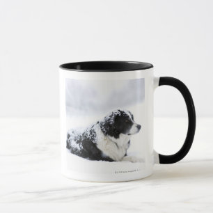 Schäferhund (Akbash/Colliemischung) liegend herau Tasse
