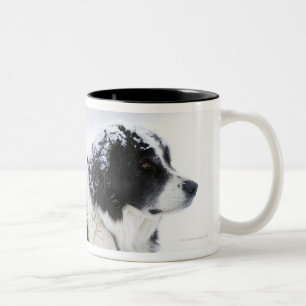 Schäferhund (Akbash/Colliemischung) liegend herau Zweifarbige Tasse