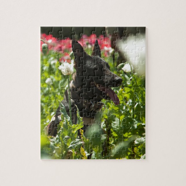 Schäferhund auf einem Gebiet Puzzle (Vertikal)