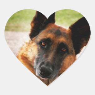 Schäferhund-Aufkleber Herz-Aufkleber