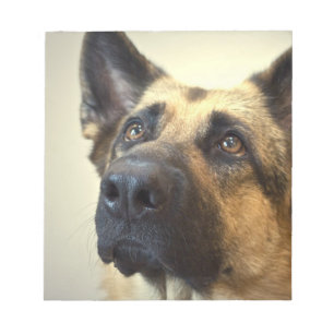 Schäferhund-Bild-Notizblock Notizblock