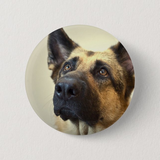 Schäferhund-Bild-runder Knopf Button (Vorderseite)