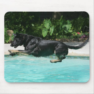 Schäferhund, der in Wasser springt Mousepad