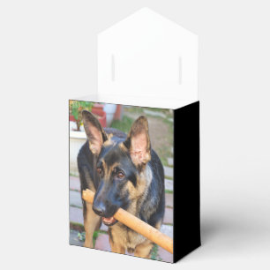 Schäferhund durch Shirley Taylor Geschenkschachtel