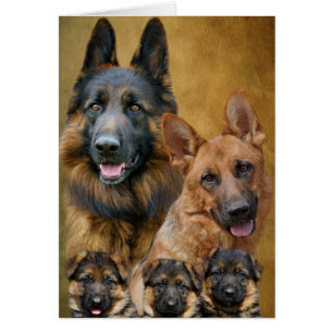 Schäferhund-Familien-Karte